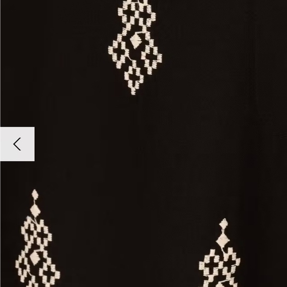 Adrianna Papell
Embroidered Wide Leg Trousers, Black/Cream - Picture 13 of 14